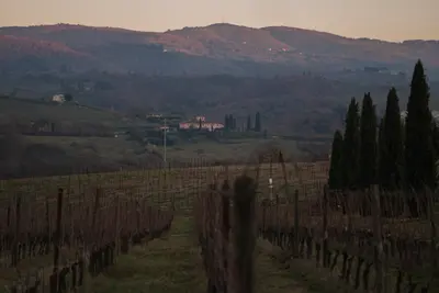 17 DSC00216